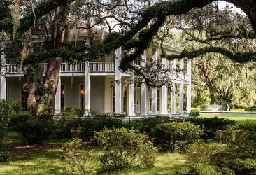 $antebellum3 fw.webp