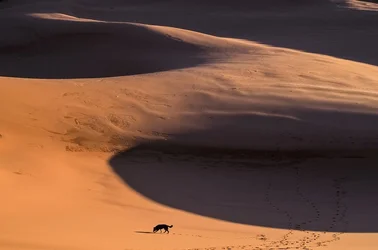 $maya-dunes.webp