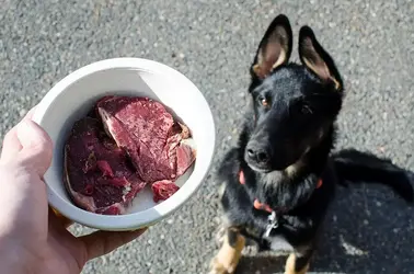 $deer steaks.webp