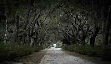$Bonaventure Cemetery 1.webp