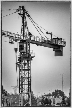 $Crane BW with frame.webp