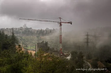 $Crane in the mist.webp