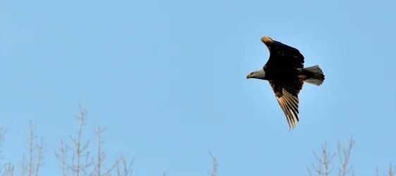 $DSC_0536 - Copy - Copy (1280x570).webp $DSC_0536 - Copy - Copy (1280x570).webp