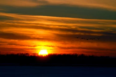 $sunset4.webp