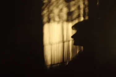 $Morning shadows 2_1387.webp $Morning shadows 2_1387.webp
