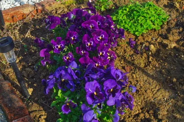Apr 3_02.webp