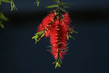 IMG_7814.webp