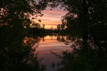 _A7R8115-Edit.webp
