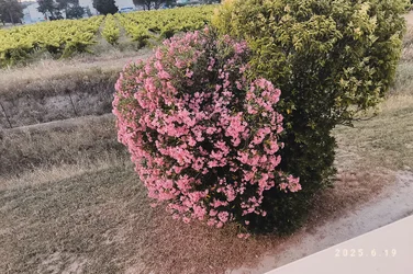 20260513002605149.webp