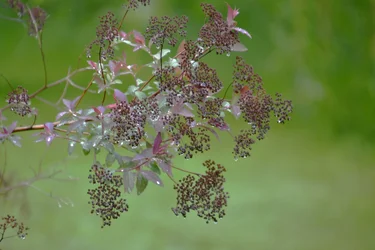 _DSC0451.webp