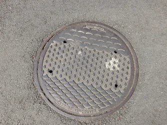 DSCN7307.webp