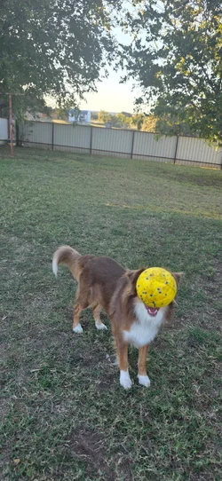20251115_164846.webp