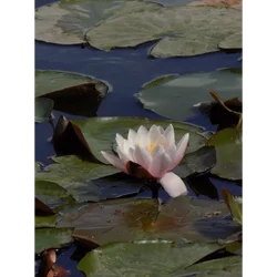 DSCN0827.webp