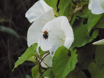DSCN1105.webp