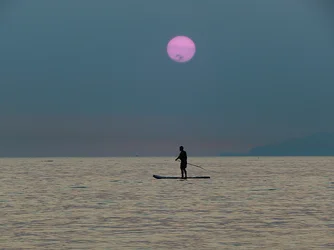 DSCN7858.webp