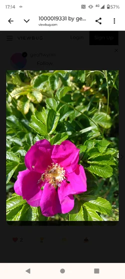 Screenshot_20260825-171402.webp