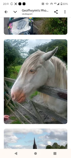 Screenshot_20260825-201123.webp