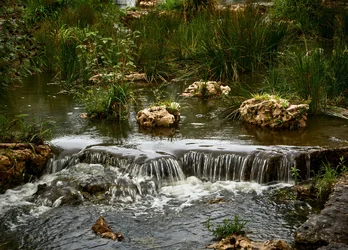 Riffles in the Stream