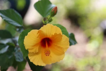 1T8A0022.webp