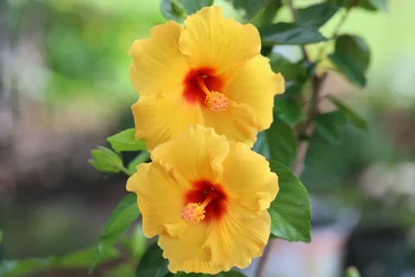 1T8A0019.webp