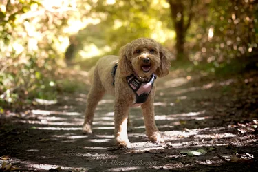 R6M21451.webp