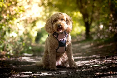 R6M21457.webp