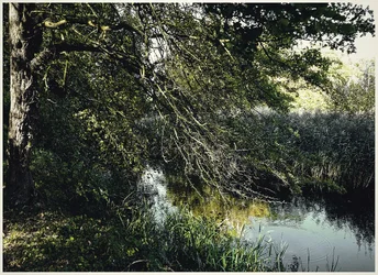 P1000246-Landscape-GreatChalfieldManor-Atworth-Melksham-Wiltshire.webp
