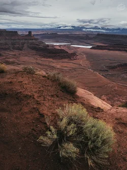 life and death in the desert