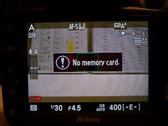 110_0010.webp