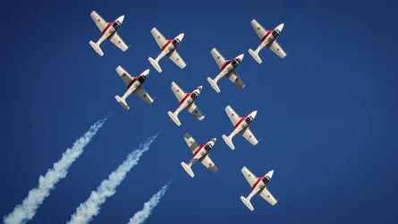 Royal Canadian Air Force Snowbirds