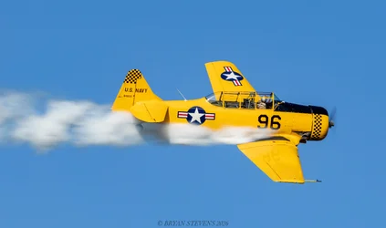 _MG_1667.webp