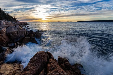 _MG_2993.webp