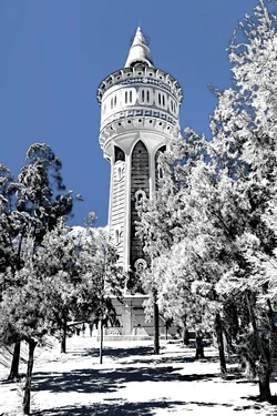 infrared.webp