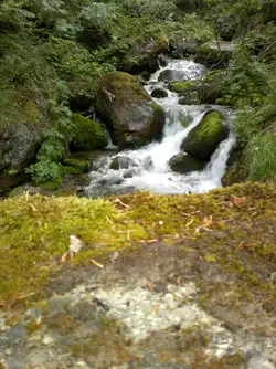 $2012-06-21-385.webp