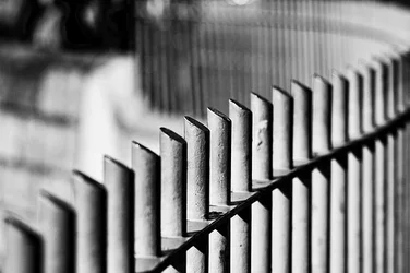 $Fences for DOF.webp
