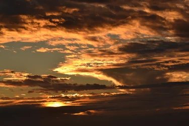 $DSC_3899_resized.webp