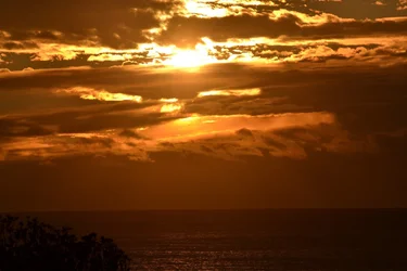 $DSC_3909_resized.webp