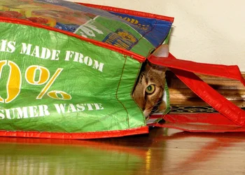 $Koko-Bag.webp