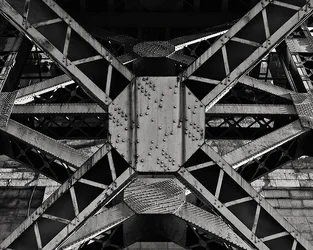 $IMG_6695_800px_BW.webp