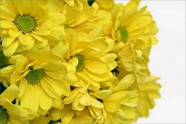 $IMG_6227_web.webp