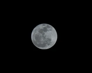 $IMG_7790_zps528d3f28.webp