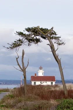 $Ft-Worden-L-house-3_6712-4x6.webp