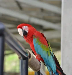 $DSC_3085_resized.webp