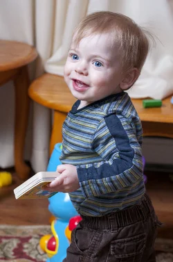 $seb.webp