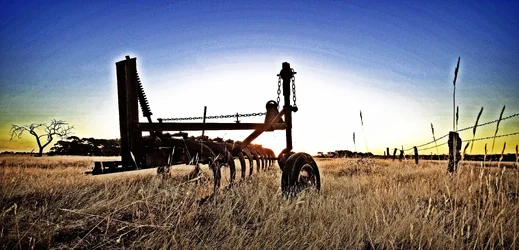$farm hdr small.webp $farm hdr small.webp
