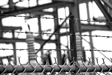 $IMG_29500-barbwire.webp