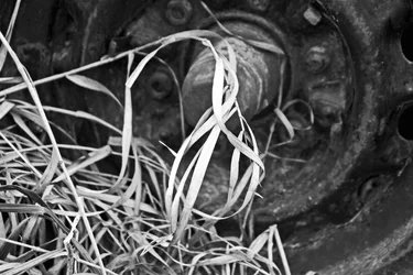 $IMG_2932-tire.webp