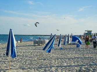 $image-630291210.webp