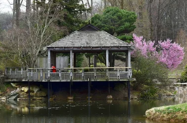 $japanese pagoda.webp