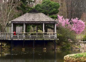$japanese pagoda.webp